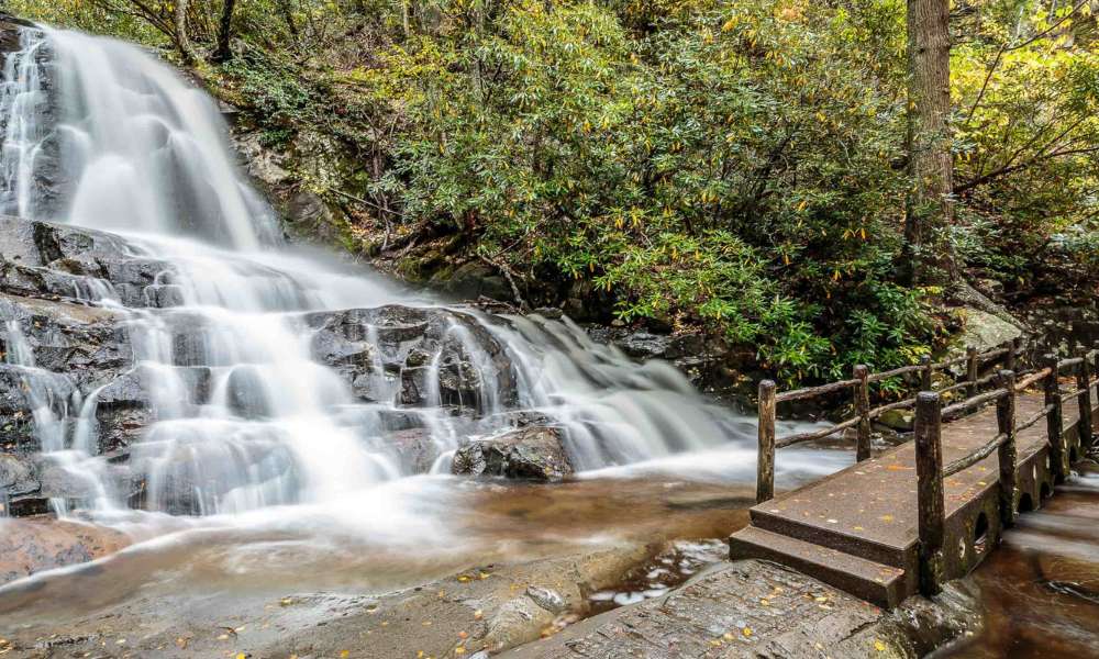 Travelers driving through the Great Smoky Mountains and experiencing the peaceful atmosphere of Smoky Mountain Trips from Chattanooga.